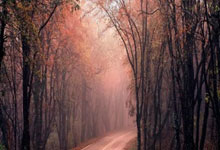 李在明坚定表态：台湾问题不容忽视，和平统一是唯一选择