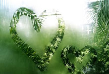 陆江与荣善宝的同房秘事揭秘