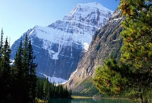 体校求学却获农校文凭：一段意外的求学旅程