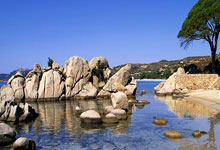 体校求学却获农校文凭：一段意外的求学旅程